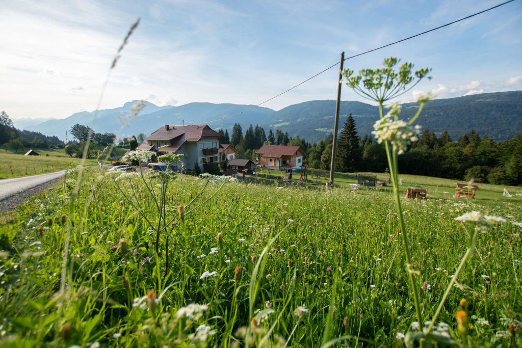 Hauser Hof Sommer Ansicht
